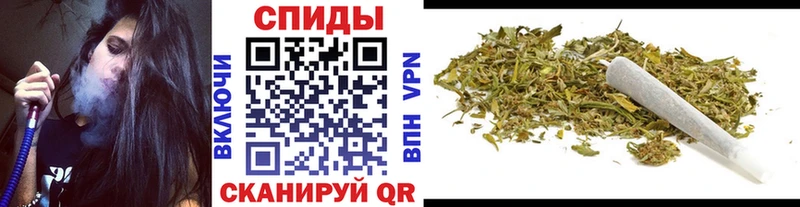 Купить где Богородицк Бутират буратино