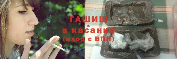 PSILOCYBIN Алзамай