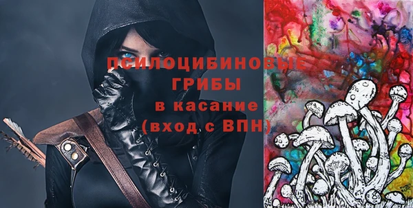PSILOCYBIN Алзамай