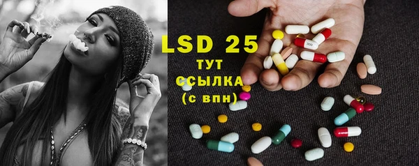 PSILOCYBIN Алзамай