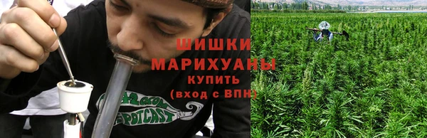PSILOCYBIN Алзамай