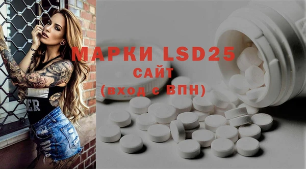 PSILOCYBIN Алзамай