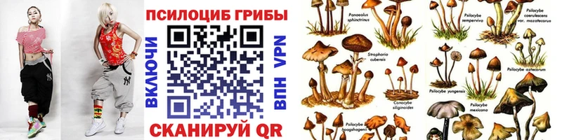 Купить закладки  Богородицк  Галлюциногенные грибы MAGIC MUSHROOMS 